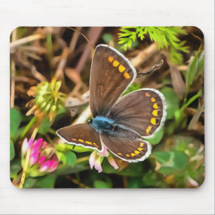 Alfombrilla De Ratón Pintado de poliommatus Icarus de mariposa azul com