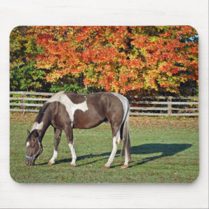 Alfombrilla De Ratón Pintar caballo en pasto otoño