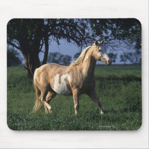 Alfombrilla De Ratón Pinte el caballo que coloca 2