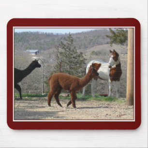 Alfombrilla De Ratón Pinte la alpaca Mousepad del caballo