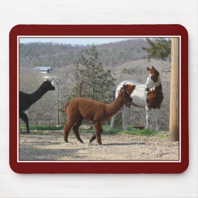 Alfombrilla De Ratón Pinte la alpaca Mousepad del caballo (Frente)
