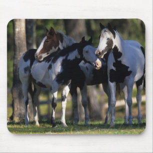 Alfombrilla De Ratón Pinte los caballos