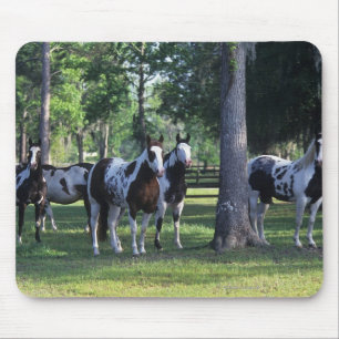 Alfombrilla De Ratón Pinte los caballos en los árboles
