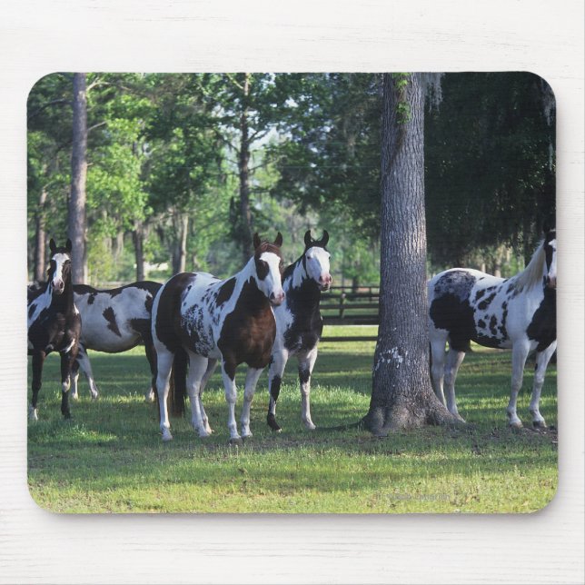 Alfombrilla De Ratón Pinte los caballos en los árboles (Frente)