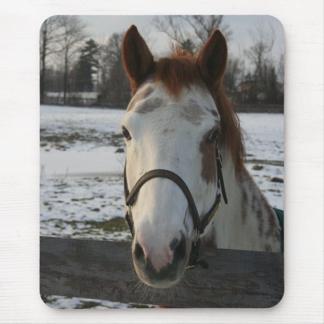 Alfombrilla De Ratón Pinte Mousepad (Frente)