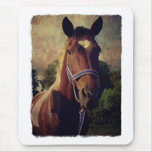 Alfombrilla De Ratón Pinto