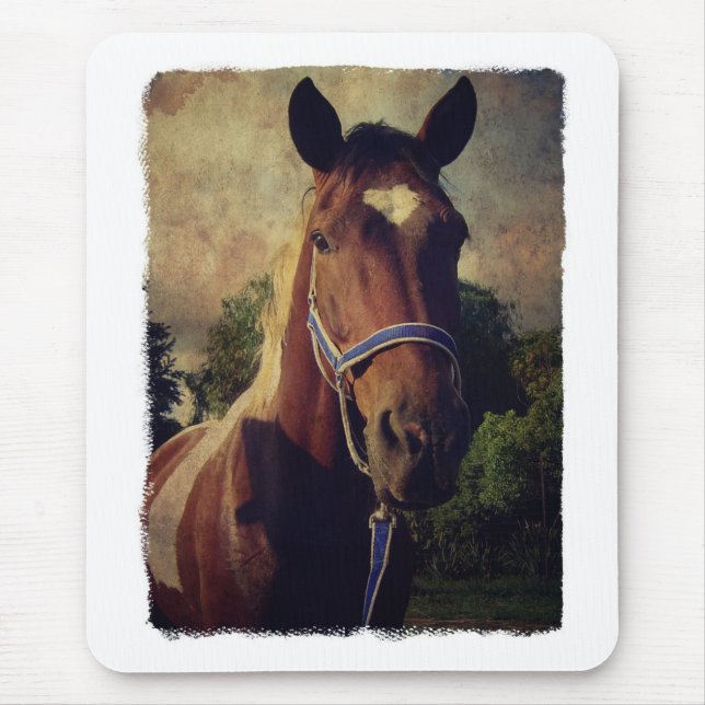 Alfombrilla De Ratón Pinto (Frente)