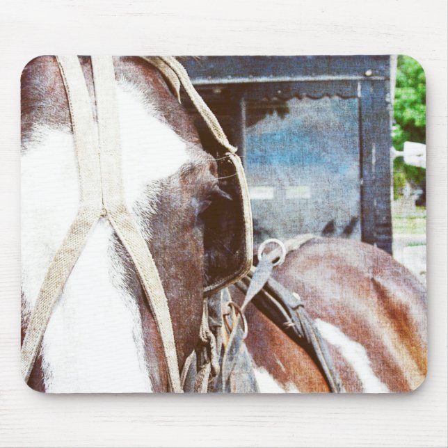 Alfombrilla De Ratón Pinto Amish Buggy Horse (Frente)