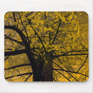 Alfombrilla De Ratón Pintura de árbol amarillo Mousepad Fall