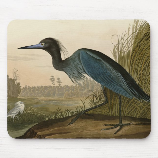 Alfombrilla De Ratón Pintura de Blue Crane Heron Audubon (Frente)