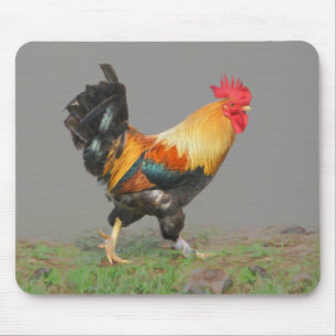 Alfombrilla De Ratón Pintura de gallo colorida