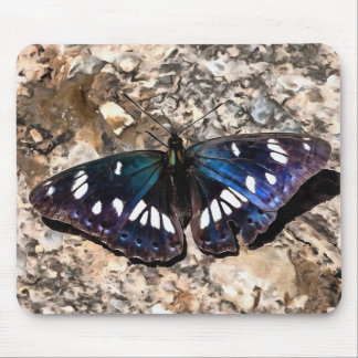 Alfombrilla De Ratón Pintura de mariposa azul del almirante blanco del