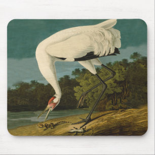 Alfombrilla De Ratón Pintura de pájaro de Crane Audubon
