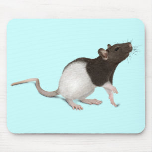 Alfombrilla De Ratón Pintura de rata mascota