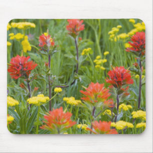Alfombrilla De Ratón Pintura india y flores silvestres de biscuitroot