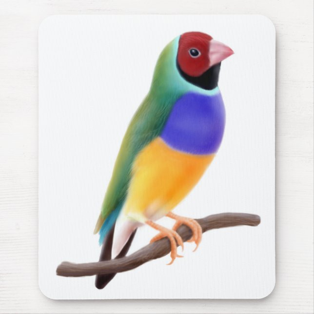 Alfombrilla De Ratón Pinzón Mousepad de Gouldian (Frente)