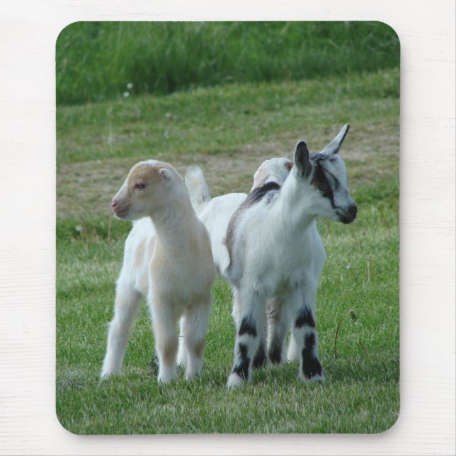 Alfombrilla De Ratón Pippi and Grey (Frente)