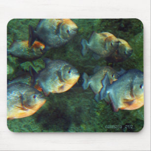Alfombrilla De Ratón Piraña reflejada