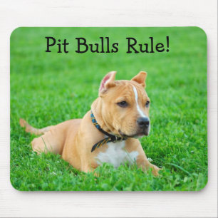 Alfombrilla De Ratón Pit Bulls Mandan Alfombrilla para ratón