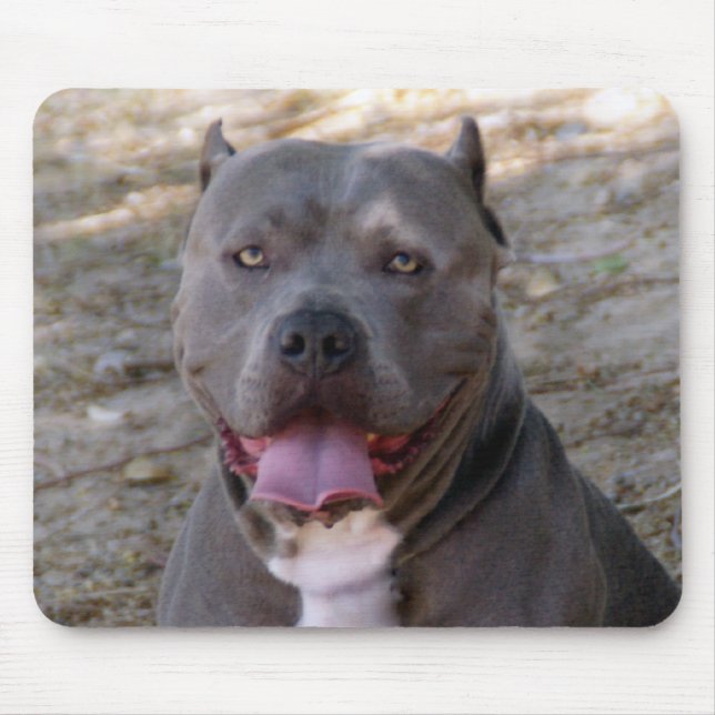 Alfombrilla De Ratón Pitbull Mousepad (Frente)