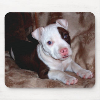 Alfombrilla De Ratón Pitbull Puppy Mousepad