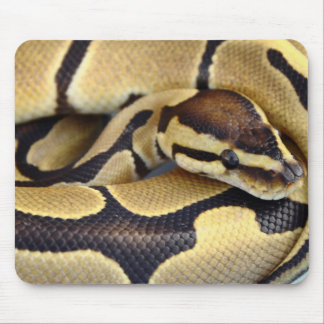Alfombrilla De Ratón Pitón amarillo y negro 3 de la bola