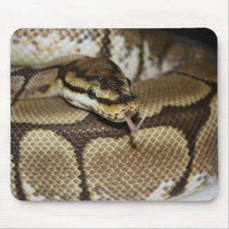 Alfombrilla De Ratón Pitón Mousepad de la bola de la araña