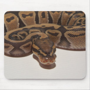 Alfombrilla De Ratón Pitón Mousepad de la bola del fantasma