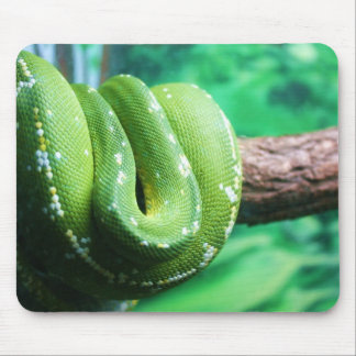 Alfombrilla De Ratón Pitón verde Mousepad del árbol