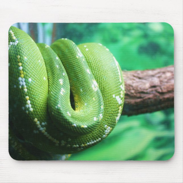 Alfombrilla De Ratón Pitón verde Mousepad del árbol (Frente)
