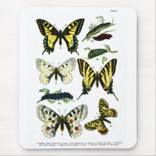 Alfombrilla De Ratón Placa I de mariposas europeas