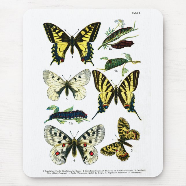 Alfombrilla De Ratón Placa I de mariposas europeas (Frente)