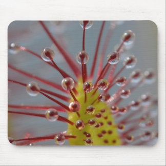 Alfombrilla De Ratón Planta carnívora Mousepad de Sundew