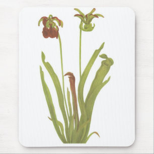 Alfombrilla De Ratón Planta carnívora - rubra del Sarracenia