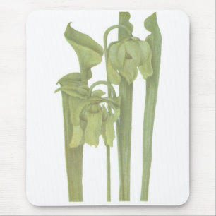 Alfombrilla De Ratón Planta carnívora - Sarracenia flava
