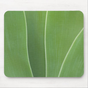 Alfombrilla De Ratón Planta de Agave de cerca