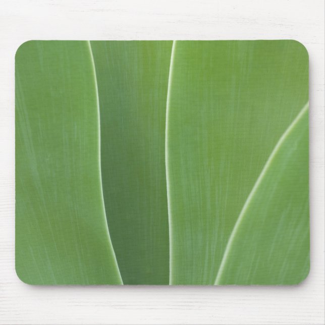 Alfombrilla De Ratón Planta de Agave de cerca (Frente)