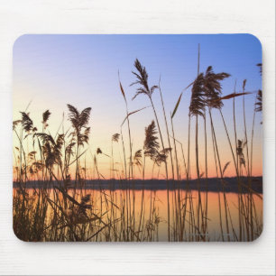 Alfombrilla De Ratón Planta de silueta junto a la puesta de sol en Lake
