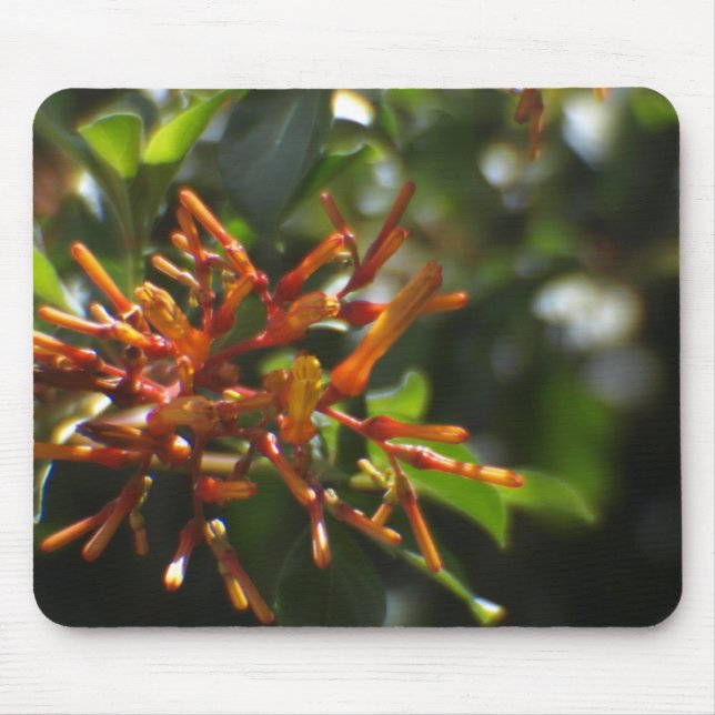 Alfombrilla De Ratón Planta única Naranja en un Mousepad (Frente)