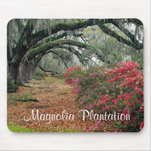 Alfombrilla De Ratón Plantación Magnolia / Charleston SC Mousepad