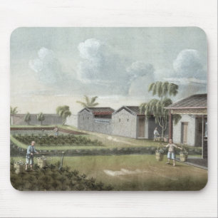 Alfombrilla De Ratón Plantas de té de riego (w/c en el papel)