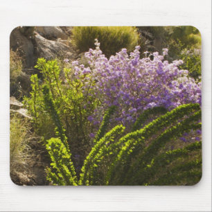 Alfombrilla De Ratón plantas del desierto de Chihuahuan en flor