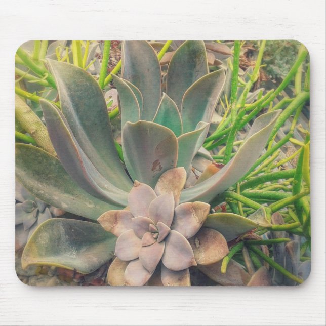 Alfombrilla De Ratón Plantas Suculentas de bonito (Frente)
