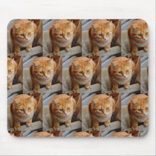 Alfombrilla De Ratón Plantilla de Collage de Fotos Personalizadas Famil