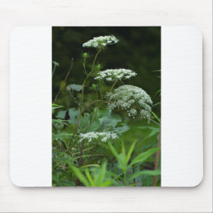 Alfombrilla De Ratón plantilla de mousepad