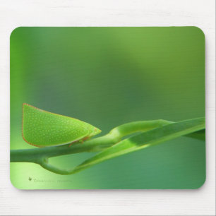 Alfombrilla De Ratón PlantWalker