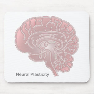 Alfombrilla De Ratón Plasticidad neuronal