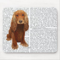 Plata de Cocker Spaniel