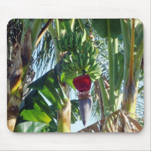 Alfombrilla De Ratón Plátanos jovenes