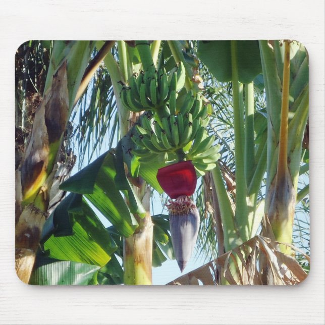 Alfombrilla De Ratón Plátanos jovenes (Frente)